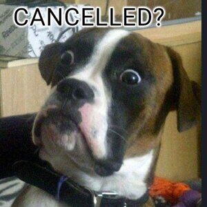 CANCELLED: bundles under $15